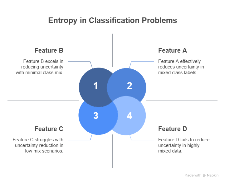 Entropy in Classification Problems